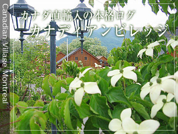 �J�i�_���A���̖{�i���O�J�i�f�B�A���r���b�W